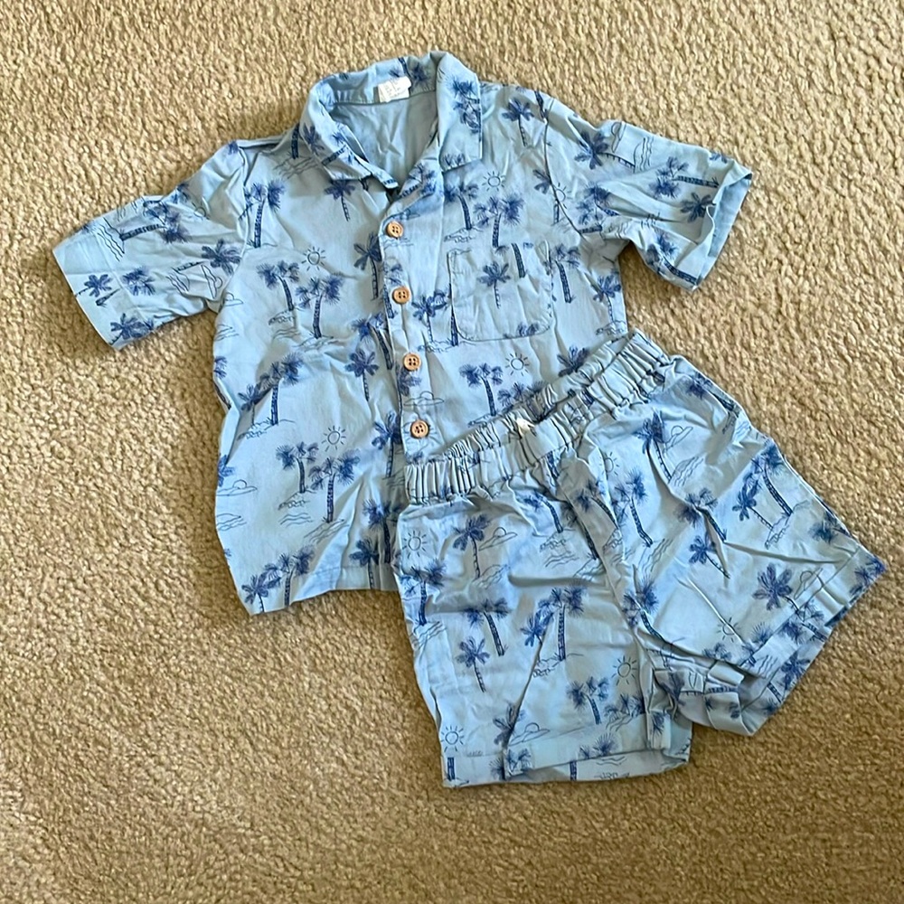 Toddler Boys Hawaiian Shirt and Shorts set